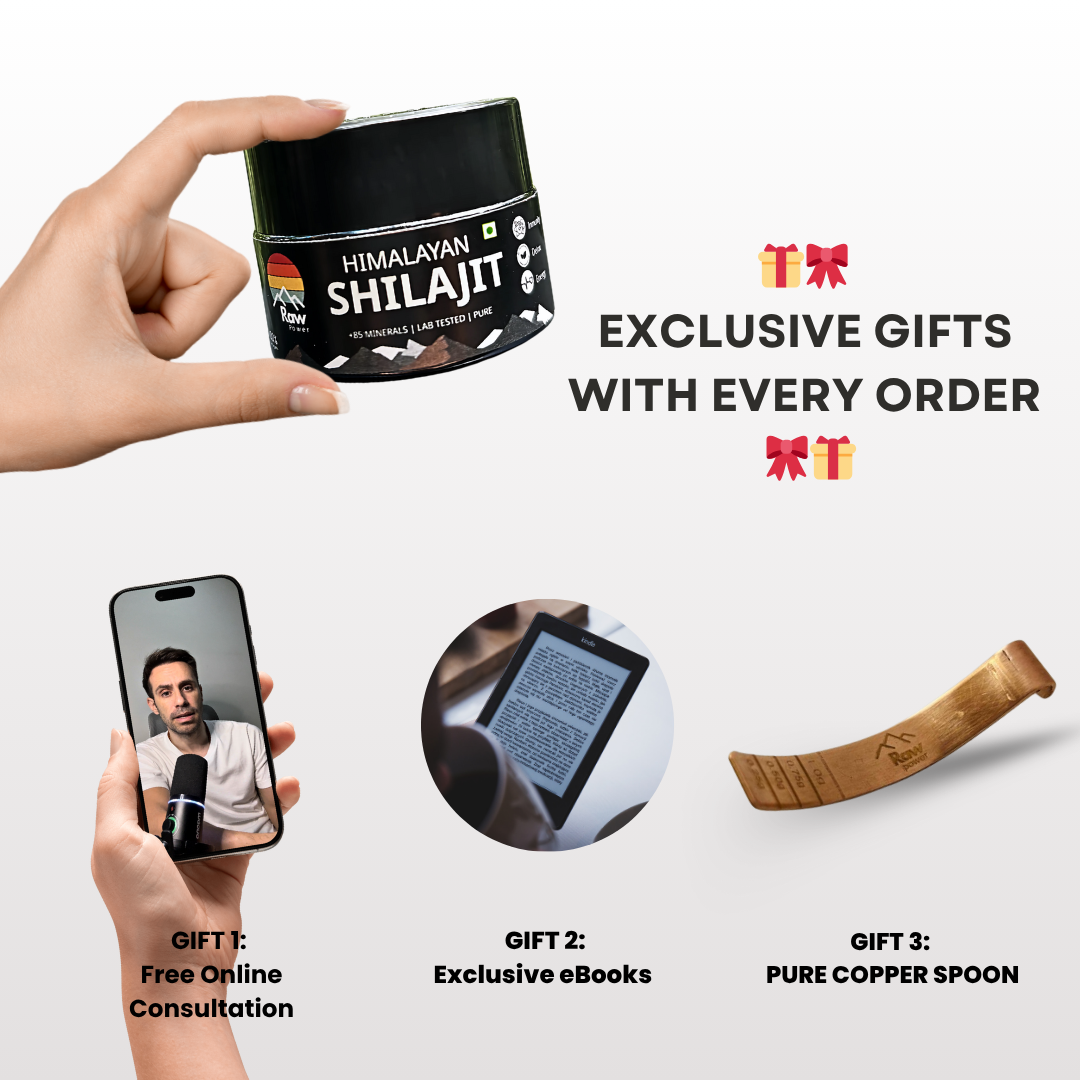 3 x 10g | Raw Power X Shilajit – Total Body Reset + 1 Free Copper Spoon