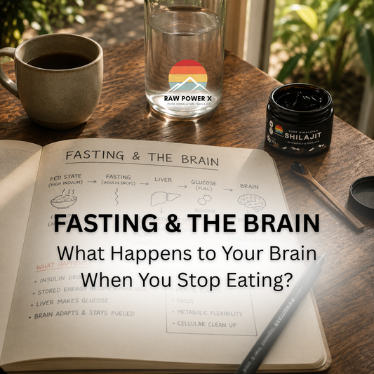 Fasting & the Brain: What Happens to Your Brain When You Stop Eating?