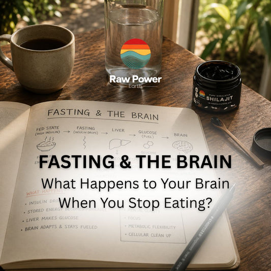 Fasting & the Brain: What Happens to Your Brain When You Stop Eating?