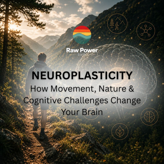 Neuroplasticity: How Movement, Nature & Cognitive Challenges Change Your Brain