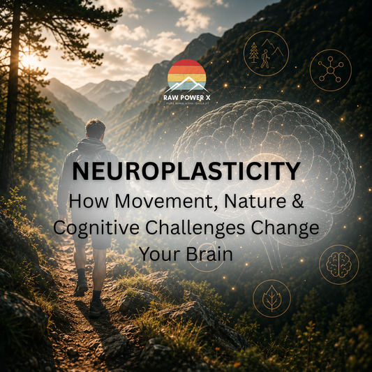 Neuroplasticity: How Movement, Nature & Cognitive Challenges Change Your Brain