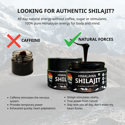 10g | Raw Power X Shilajit – Total Body Reset